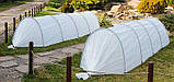 Парник "Агро-Лідер" 12 м. 42 пл., фото 7
