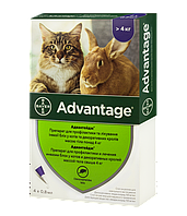 Капли от блох для кошек больше 4 кг Bayer Advantage (Адвантейдж) 4 шт/уп