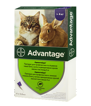 Краплі від бліх для котів більше 4 кг Bayer Advantage (Адвантейдж) 4 шт/уп