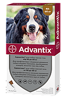 Капли от блох и клещей для собак весом 40-60 кг Bayer Advantix (Адвантикс) 4 шт/уп