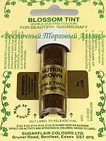 Сухий барвник Sugarflaire Nutkin Brown Горіховий 7 ml