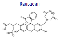 Калькеїн