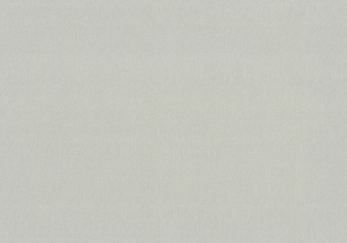 Шпалери Vinil Wallpaper Factory ЕШТ 5-1359 1,06х10,05м