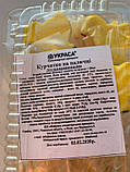 Великодня прикраса "Пасхальна курочка на паличці" ТМ "Украса" в пакованні, фото 3