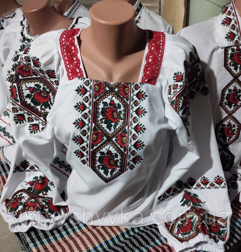 Вишиванка жіноча "Візерунки любові"