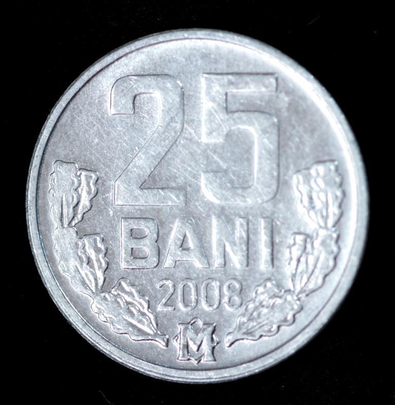 Монетадовіра 25 бані 2008 р.