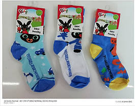 Шкарпетки дитячі для хлопчиків оптом, Disney розміри 23/26-31/34, арт. 881-359