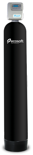 ФІЛЬТР ДЛЯ ВИДАЛЕННЯ СІРКОВОДНЮ ECOSOFT FPC 1054CT