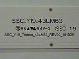 Світлодіодні LED-лінійки SSC.Y19.43LM63 (матриця HC430DUN-SLXL1-A14X), фото 3