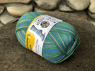 Носочная пряжа REGIA Desine Line by Dee Hardwicke