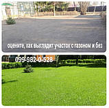 Продам Газон "Універсальний" 1кг насіння газонуна трава, травосуміш для газонів озеленення ландшафту клумб, фото 4