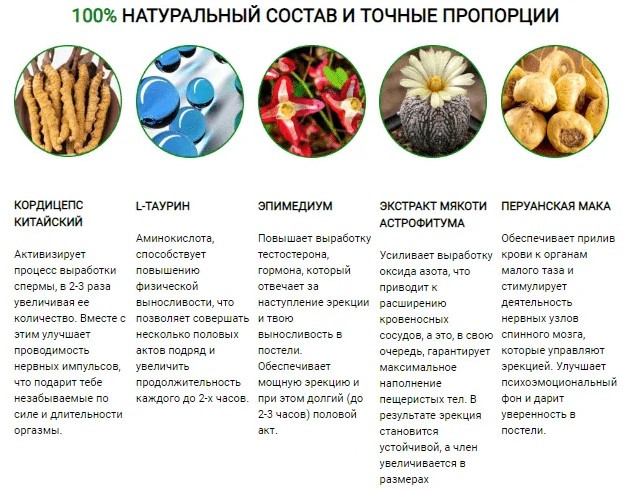 склад капсул Эректонус