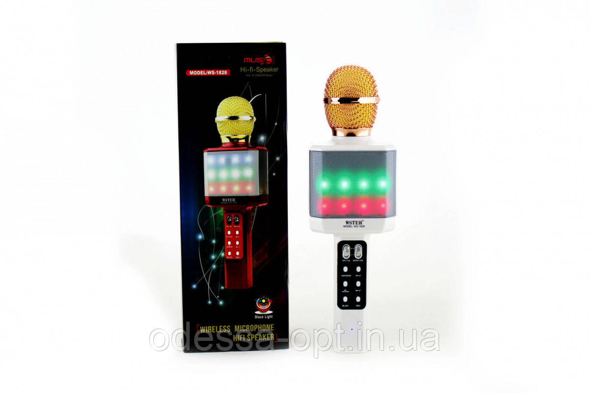 Мікрофон DM Karaoke WS 1828