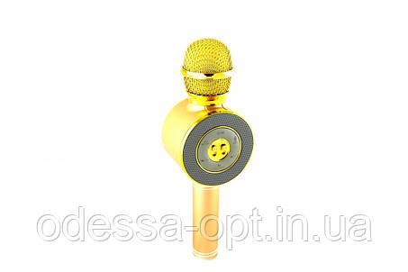 Мікрофон DM Karaoke WS668, фото 2
