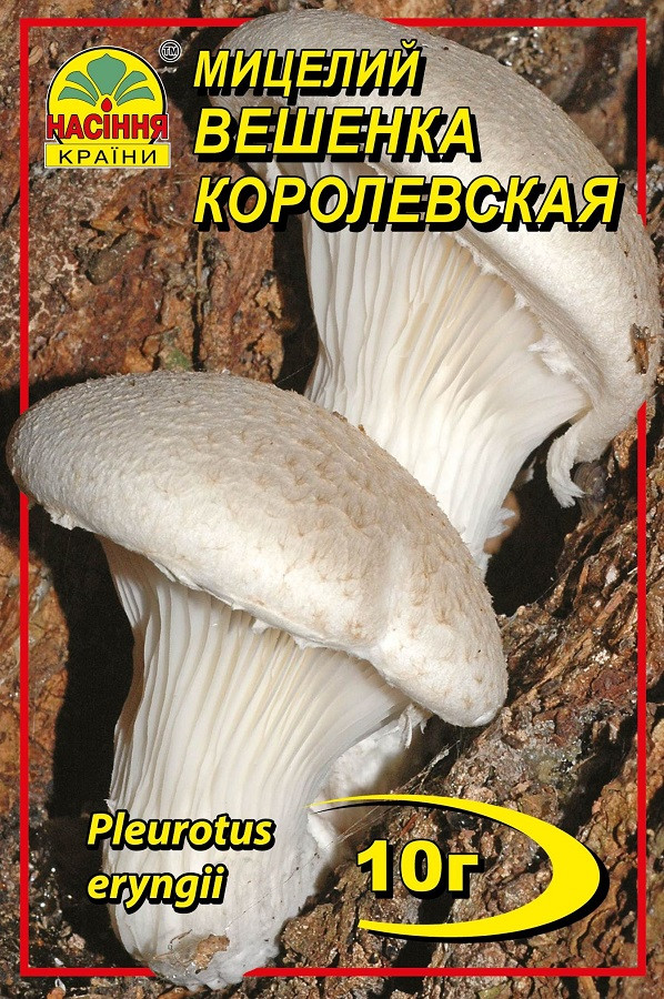 Вешенка королевская 10 г - фото 1 - id-p1137297431