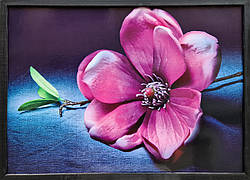 Фотокартина в дерев'яній рамі Flower 10 50х70 см POS-5070-274