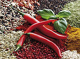 Приправа - "Гострий ХАБАНЕРА", фото 3