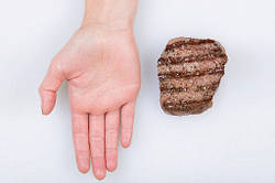 Як визначати правильний розмір порцій їжі за допомогою «правила рук»?
