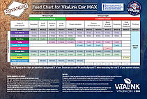Добриво для кокосового субстрату VitaLink Coir MAX HW 1 л A&B, фото 6
