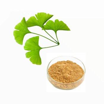 Екстракт гінкго білоба/ Ginkgo Biloba extract 10:1