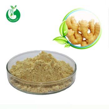 Екстракт імбиру 10: 1 (Ginger Extract Powder 10: 1)