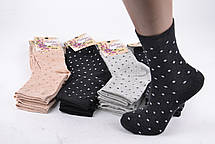 Шкарпетки жіночі Бавовняні (Арт. ME32006) | 12 пар, фото 2