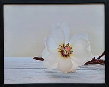 Фотокартина у дерев'яній рамі Flower 11 40х50 см POS-4050-216
