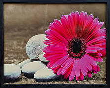 Фотокартина в дерев'яній рамі Gerbera 7 40х50 см POS-4050-217