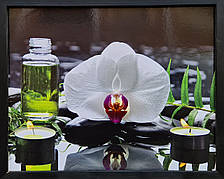 Фотокартина в дерев'яній рамі Flower 7 40х50 см POS-4050-202