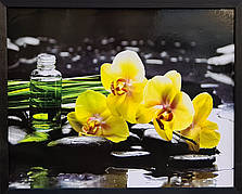Фотокартина в дерев'яній рамі Spa 6 40х50 см POS-4050-203
