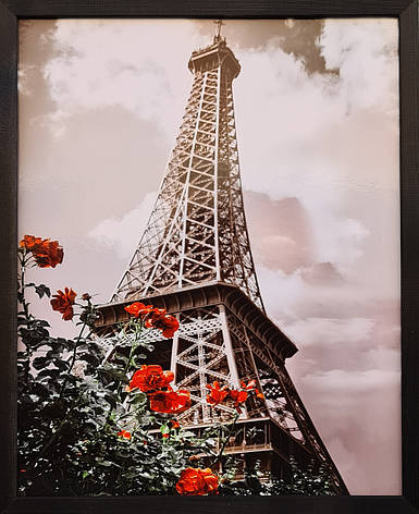Фотокартина в дерев'яній рамі Paris 7 40х50 см POS-4050-209, фото 1