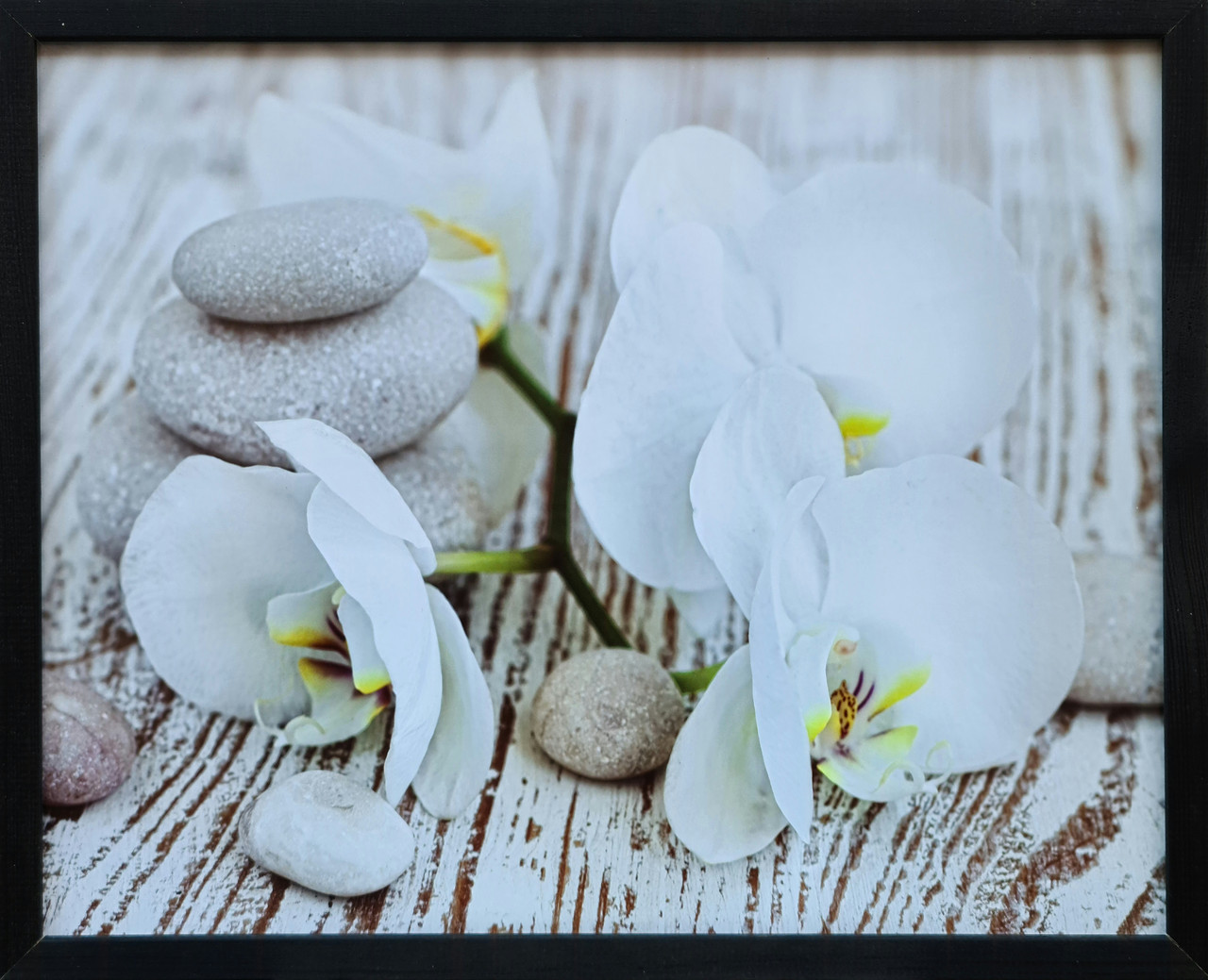 Фотокартина в дерев'яній рамі Orchid 6 40х50 см POS-4050-206