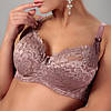 Бюстгальтер Orietta Avec (Finikin) чашка F без поролону, фото 7