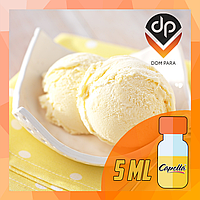 Ароматизатор Capella Vanilla Bean Ice Cream| Ванильное мороженое 5 мл