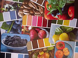 Колірні карти "Колір їжі". Світлана Калинченко, фото 2