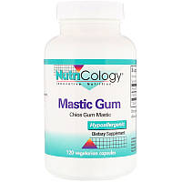 Смола мастикового дерева (Gum Mastic) 500 мг 120 капсул