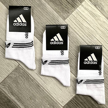 Шкарпетки жіночі демісезонні спортивні х/б Adidas, Athletic Sports, білі, середні, 06169