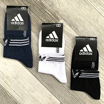 Шкарпетки жіночі демісезонні спортивні х/б Adidas, Athletic Sports, асорті, середні, 06115