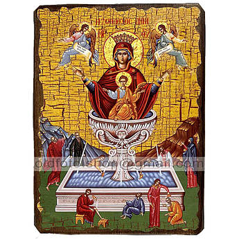 Живоносне Джерело Ікона Пресвятої Богородиці ,ікона на дереві 130х170 мм