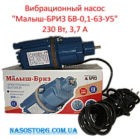 Вібраційний насос Малиш - БРИЗ БВ-0,1-63-У5 (нижній забір води), 230 Вт, А 3,7