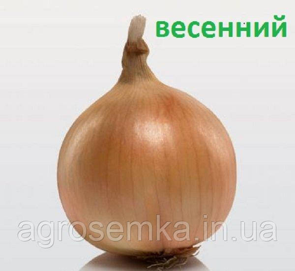 Цибулю - сіянку весняний Коррадо F1 (Coraddo F1) / 1 кг, фото 1