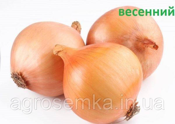 Цибулю - сіянку весняний Купидо / 1 кг, фото 1
