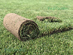 Рулонний газон спортивний