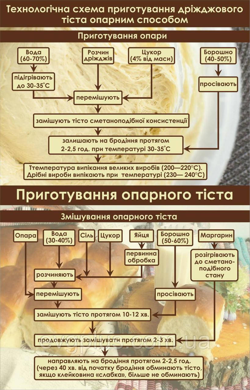 Стенд «Технологическая схема приготовления дрожжевого теста опарным ...