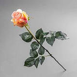 Троянда Преміум, Н 77 см, силікон, Штучна квітка, Дніпропетровськ, фото 2