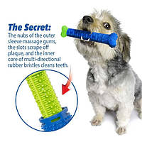 Игрушка для чистки зубов у собак Сhewbrush (GIPS), Зубная щетка для собак, Массажная щетка для десен собаки,