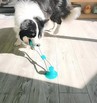 Іграшка для собак канат на присосці з м'ячем (GIPS)
