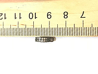 Бейл 9*2,8мм (отверстие 5,3мм)с фианитами ( гипоаллергенный сплав)