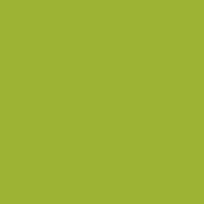 Фарба акрилова AMSTERDAM, (617) Жовтувато-зелений, 120 мл, Royal Talens, фото 2