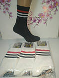 Шкарпетки чоловічі смугасті серії TREN (Демісезон/літні) Варос, фото 4